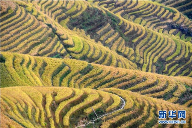 QQ截圖20191011104132 QQ截圖20191011104132