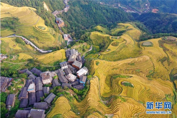 QQ截圖201910111042373 QQ截圖201910111042373