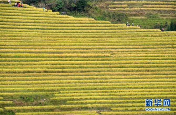 QQ截圖201910111042544 QQ截圖201910111042544