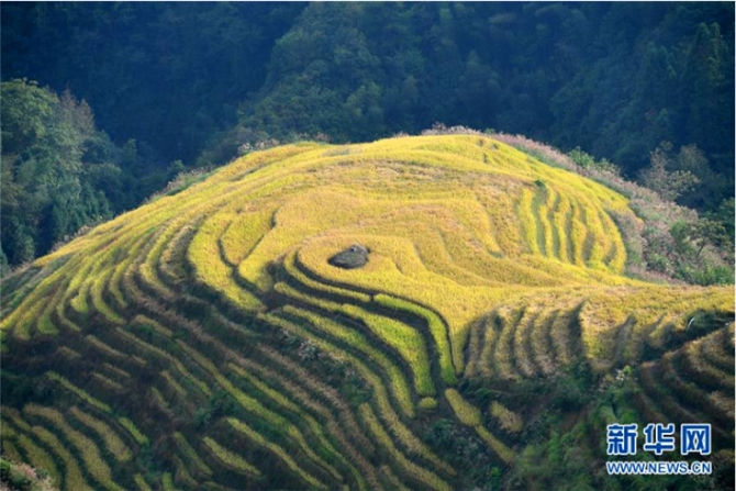 QQ截圖201910111043116 QQ截圖201910111043116