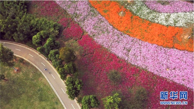 QQ截圖20191011104955a