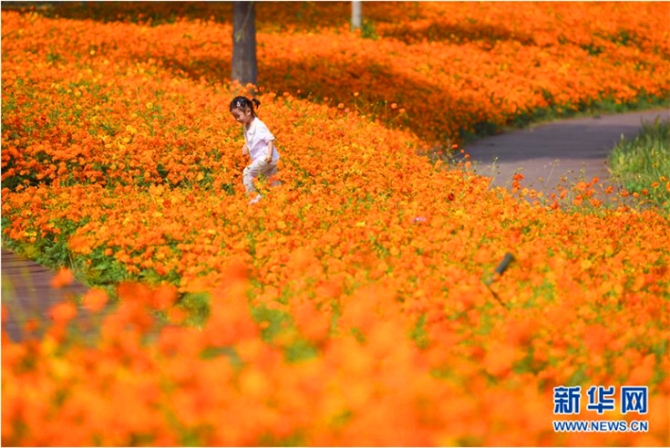 QQ截圖20191011105043b