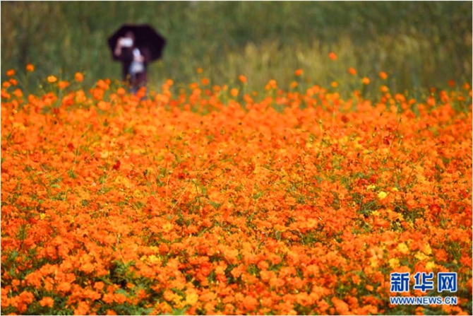 QQ截圖20191011105058c