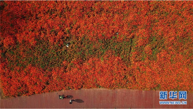 QQ截圖20191011105113d