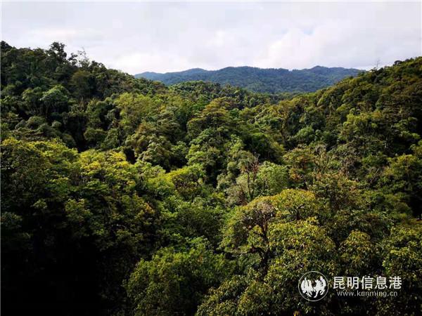 5af37619ff1613c8ed88d44af946b4f 5af37619ff1613c8ed88d44af946b4f