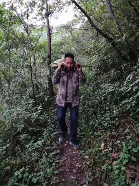 竹竿抬行2.5公里就醫(yī)