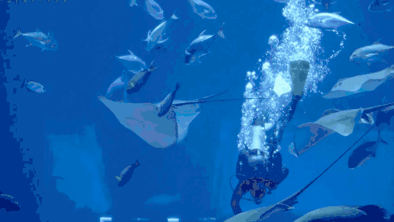 昆明融創(chuàng)樂(lè)園