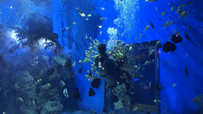 昆明融創(chuàng)樂(lè)園