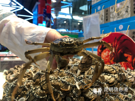 PI94UIU[2)1BF2K548@[S88 PI94UIU[2)1BF2K548@[S88