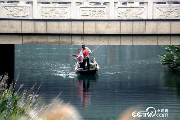 工作人員正在清理河面(王甲鑄 攝)