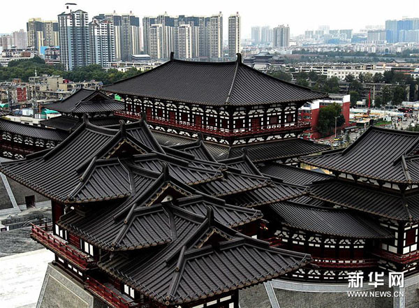 1125113904_15712675044101n