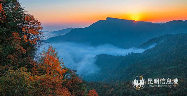 微信圖片_20191017142725