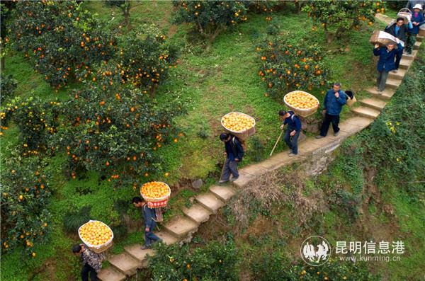 QQ圖片20191017180430 QQ圖片20191017180430