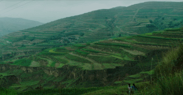 00300991197_9bc679a8 00300991197_9bc679a8