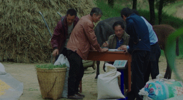 00300991199_c5f0d61d 00300991199_c5f0d61d