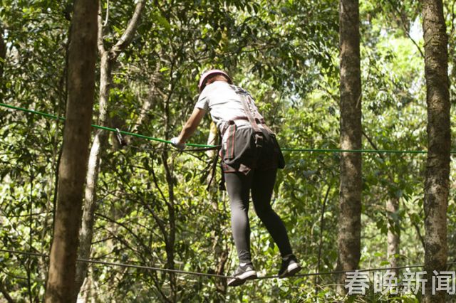 去普洱太陽河國家森林公園“飛越叢林”