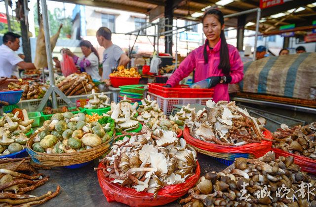 篆新農(nóng)貿(mào)市場(chǎng)上演“變形記”