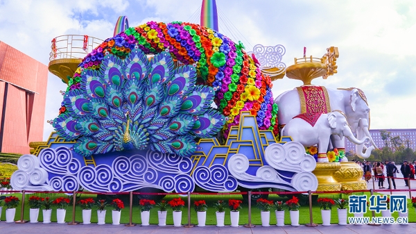 138487456_15715567169901n 138487456_15715567169901n