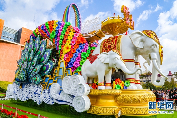 138487456_15715567172001n 138487456_15715567172001n