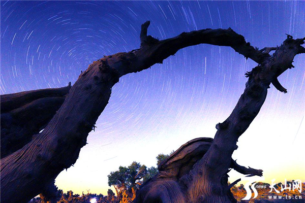 星軌  曹新加攝.png