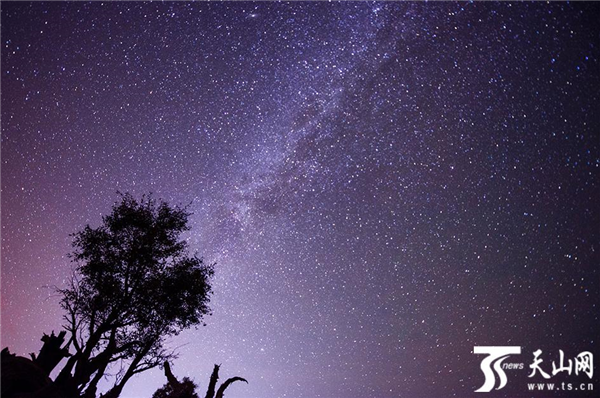 銀河  趙忠攝.png