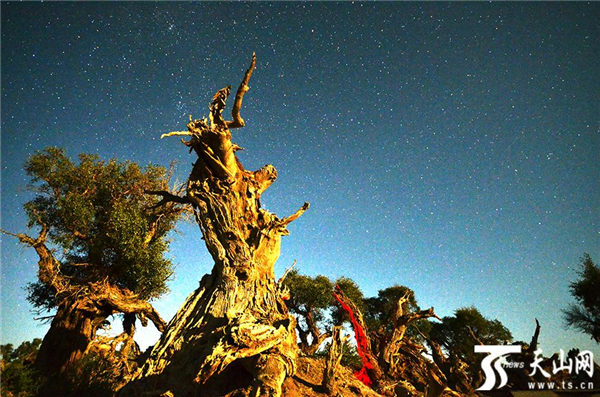 問天  牛宏宇攝.png