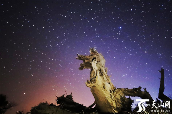 神獸問天  王俊峰攝.png