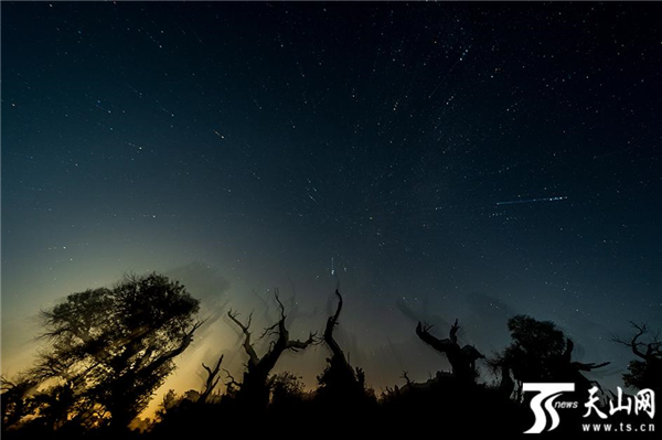 影子  雷勇攝.png