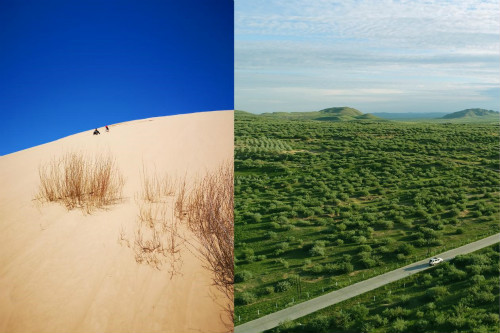 【見證七十載?草原新發(fā)展】從“八百里瀚?！?，到草原綠洲