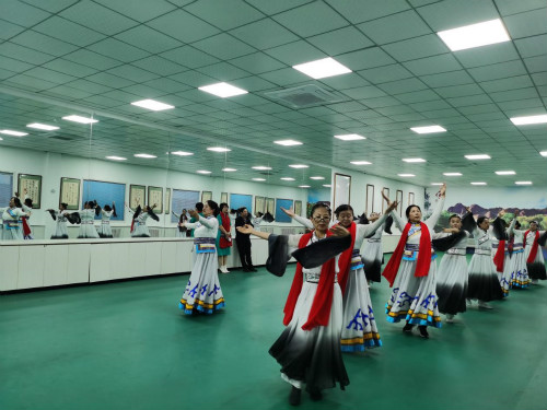 【見(jiàn)證七十載?草原新發(fā)展】臨潢家園社區(qū)：多民族的大家庭