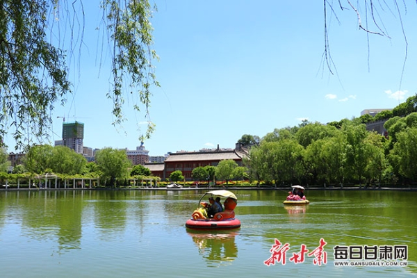 游人在柳湖公園劃船游玩 （新甘肅·每日甘肅網(wǎng)記者蘭天 攝）