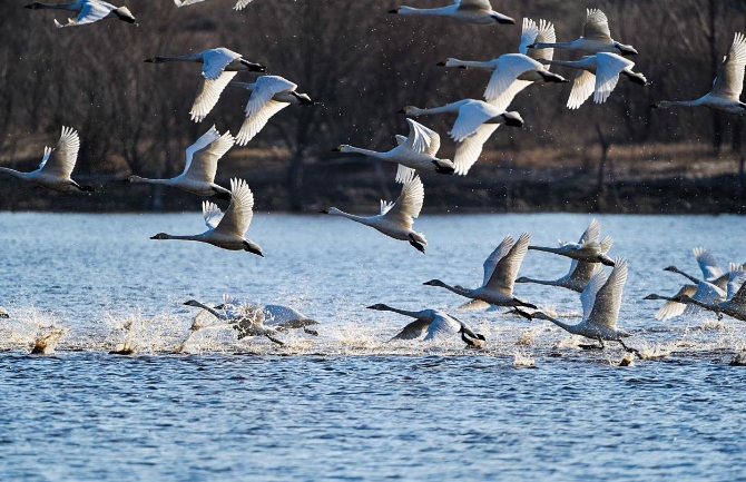 天藍(lán) 水凈 鳥飛