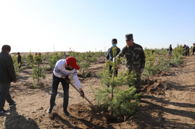 植樹造林 防風(fēng)固沙
