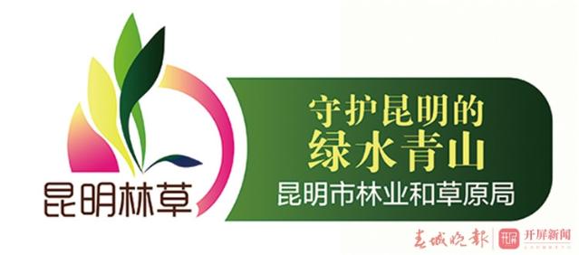 保護(hù)紅嘴鷗