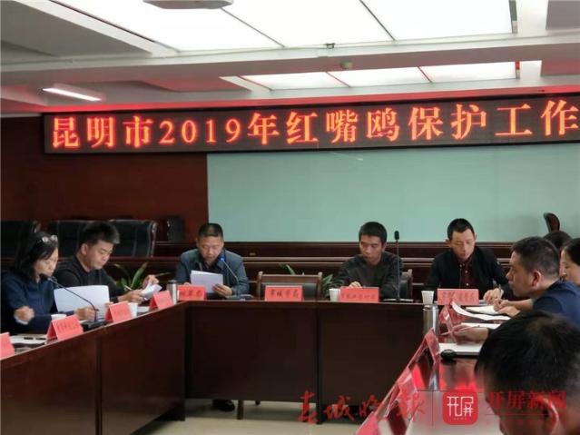 保護(hù)紅嘴鷗