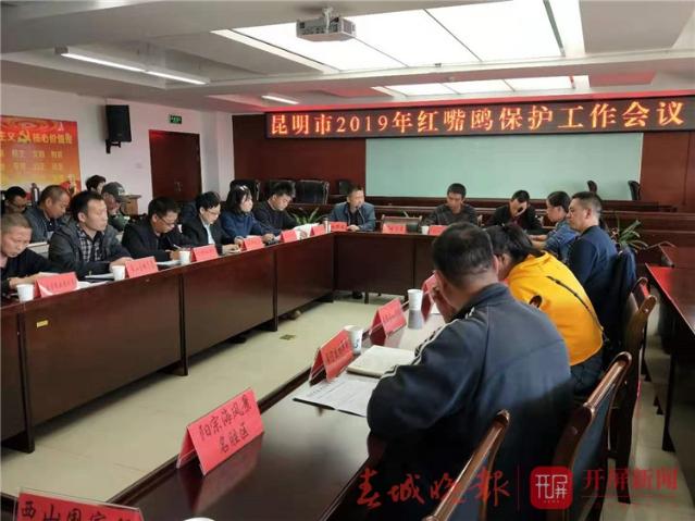 保護(hù)紅嘴鷗