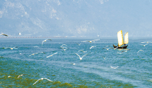 37271571856799709 37271571856799709