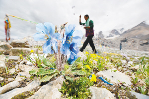 72671571856800208 72671571856800208