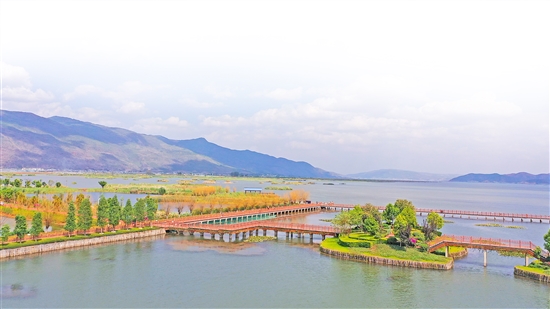 2019102404_res15_attpic_brief