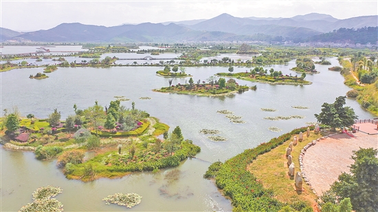 2019102404_res07_attpic_brief