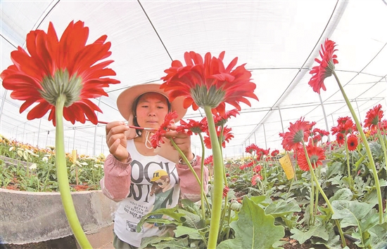 2019102410_res15_attpic_brief 2019102410_res15_attpic_brief