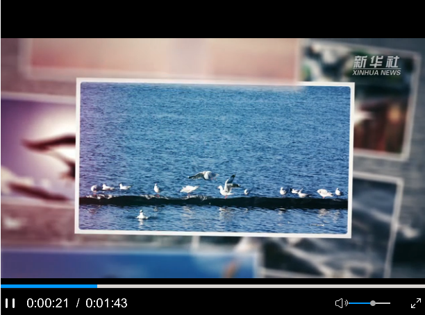 QQ截圖20191025103357 QQ截圖20191025103357