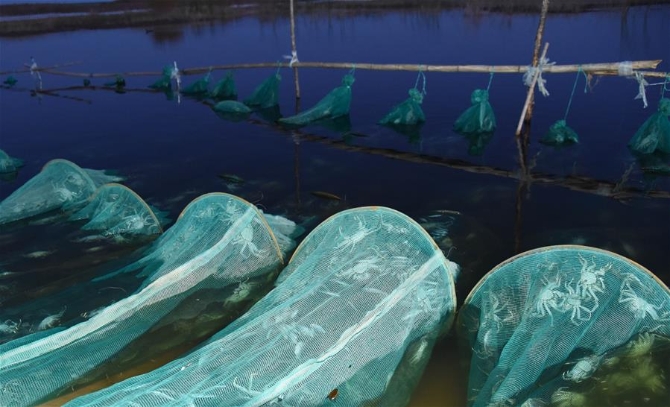 （在習(xí)近平新時(shí)代中國特色社會(huì)主義思想指引下——新時(shí)代新作為新篇章·總書記關(guān)心的百姓身邊事·圖文互動(dòng)）（2）水潤(rùn)民心——全國農(nóng)村飲水安全攻堅(jiān)成效觀察