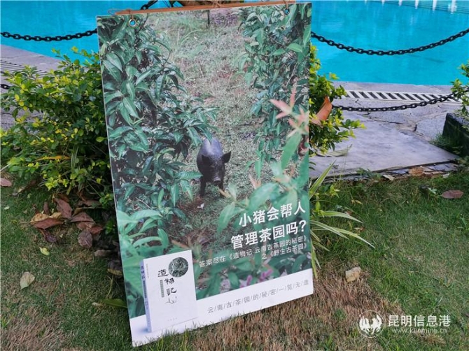 QQ圖片20191026113838 QQ圖片20191026113838