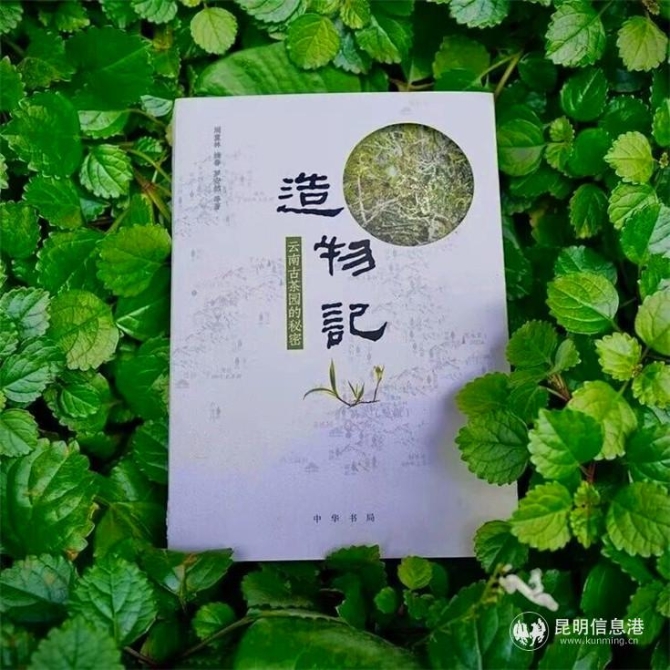 QQ圖片20191026114621 QQ圖片20191026114621