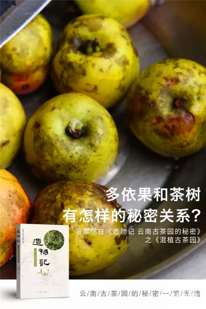 QQ圖片20191026114415 QQ圖片20191026114415