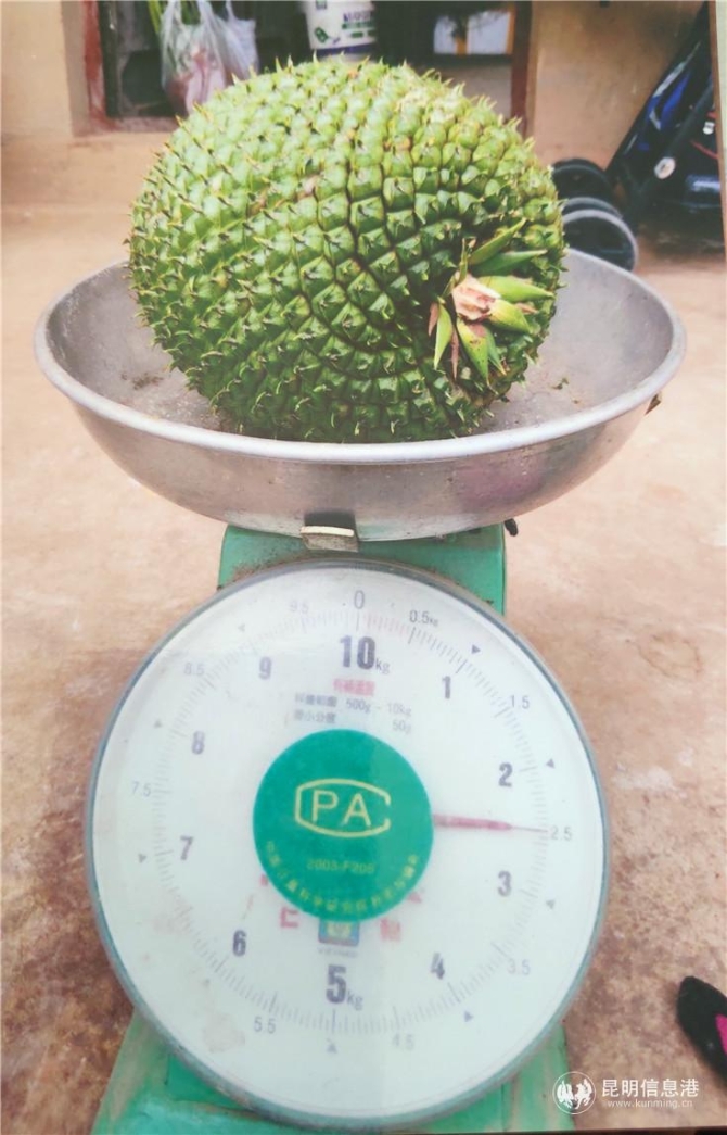 13449922631 13449922631