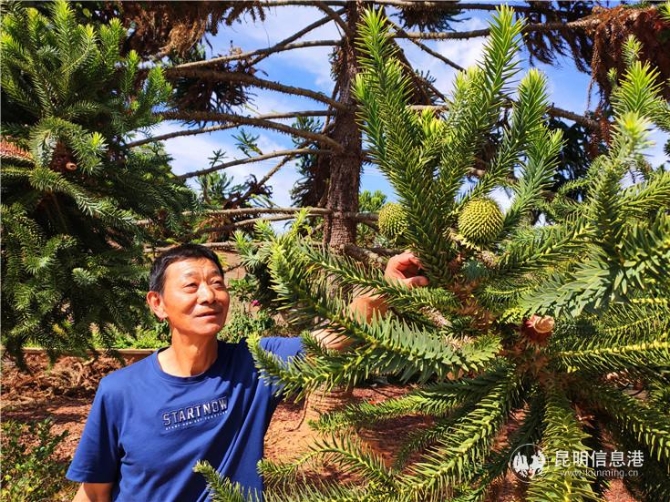 21460622913 21460622913