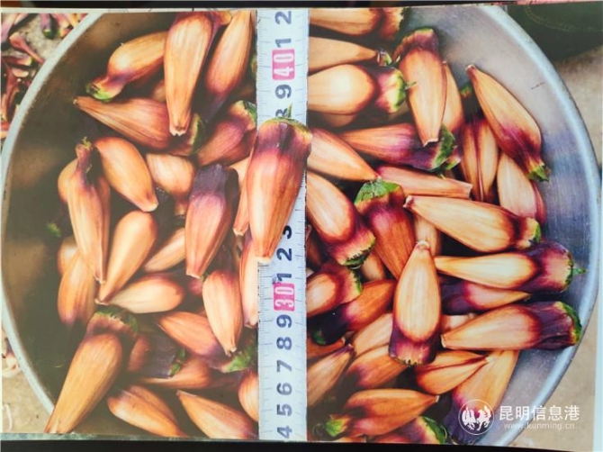 5527082234 5527082234