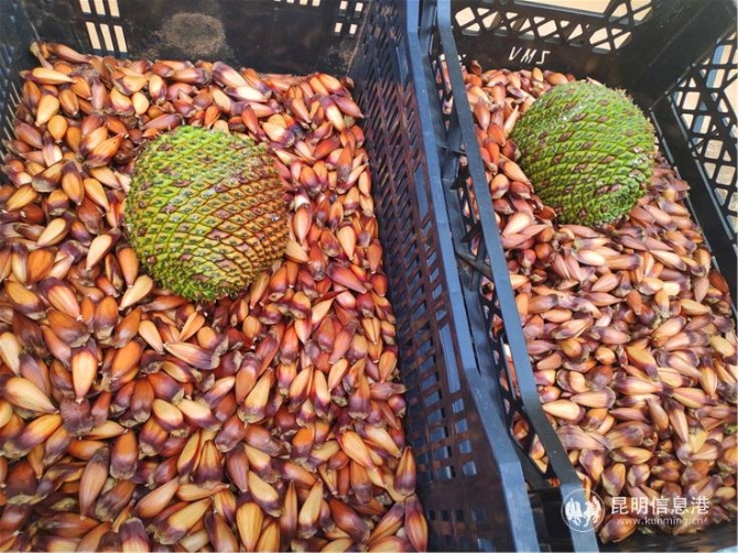 16916004522 16916004522